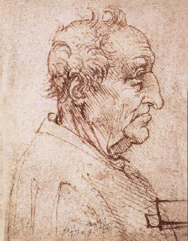 LEONARDO da Vinci Profile of an old man Spain oil painting art